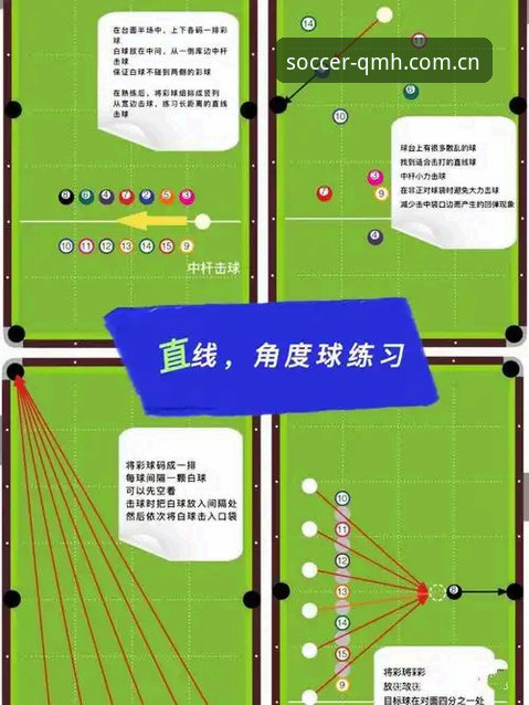 球盟会官网登录攻略：新手必备的5个实用技巧